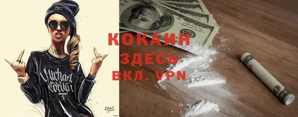 ALPHA PVP Каменка