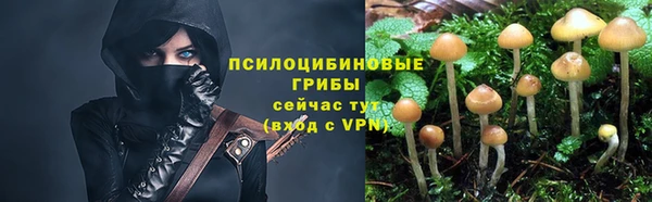 ALPHA PVP Каменногорск