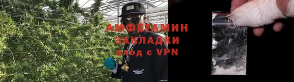 ALPHA PVP Каменка