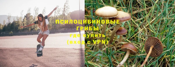 ALPHA PVP Каменногорск