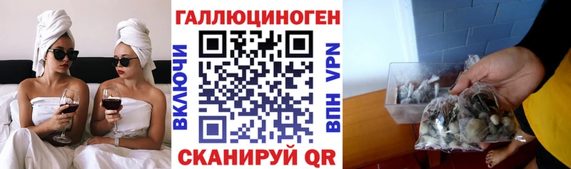 Купить  Новороссийск  Псилоцибиновые грибы мицелий 
