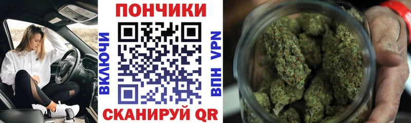 Бошки марихуана ГИДРОПОН  Купить закладки  Новороссийск 